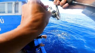 Морская рыбалка в Нячанге сверхчувствительная креветка приманка и мощные удары морского хищника
