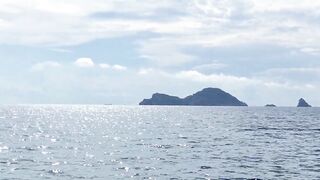 Морская рыбалка в Нячанге сверхчувствительная креветка приманка и мощные удары морского хищника