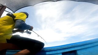 Морская рыбалка в Нячанге сверхчувствительная креветка приманка и мощные удары морского хищника