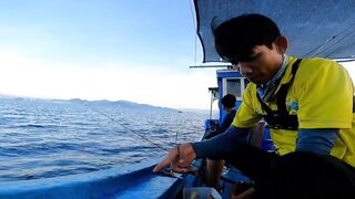 Морская рыбалка в Нячанге сверхчувствительная креветка приманка и мощные удары морского хищника