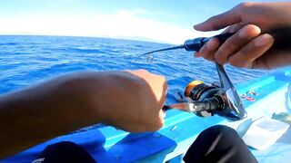 Морская рыбалка в Нячанге сверхчувствительная креветка приманка и мощные удары морского хищника