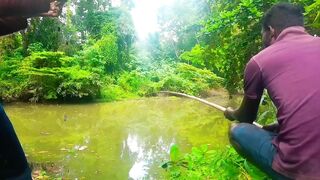 Удивительная ловля крупной tilapia на крючок в речных зарослях Sri Lanka