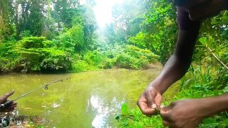 Удивительная ловля крупной tilapia на крючок в речных зарослях Sri Lanka