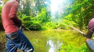 Удивительная ловля крупной tilapia на крючок в речных зарослях Sri Lanka