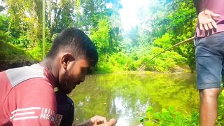 Удивительная ловля крупной tilapia на крючок в речных зарослях Sri Lanka