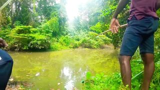 Удивительная ловля крупной tilapia на крючок в речных зарослях Sri Lanka