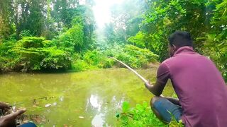 Удивительная ловля крупной tilapia на крючок в речных зарослях Sri Lanka