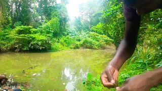 Удивительная ловля крупной tilapia на крючок в речных зарослях Sri Lanka