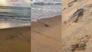 Отправились за рыбой простой день рыбалки у океана без лишних разговоров