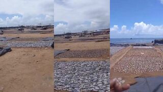 Так на Migamu Wella Sri Lanka готовят свежую морскую рыбу сразу на углях у берега