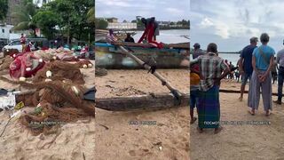 Настоящая рыбалка на Шри-Ланке много людей тянут длинную сеть из океана