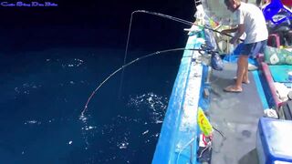 Жадная рыба в Нячанге клюёт одна за другой морская рыбалка прямо с берега