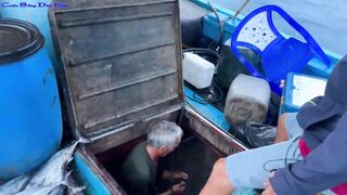 Жадная рыба в Нячанге клюёт одна за другой морская рыбалка прямо с берега