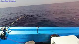 Жадная рыба в Нячанге клюёт одна за другой морская рыбалка прямо с берега