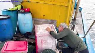 Жадная рыба в Нячанге клюёт одна за другой морская рыбалка прямо с берега