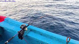 Жадная рыба в Нячанге клюёт одна за другой морская рыбалка прямо с берега