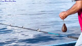 Жадная рыба в Нячанге клюёт одна за другой морская рыбалка прямо с берега