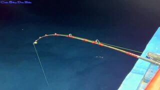 Жадная рыба в Нячанге клюёт одна за другой морская рыбалка прямо с берега