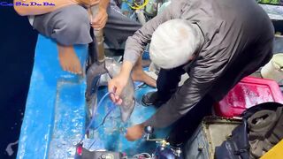 Жадная рыба в Нячанге клюёт одна за другой морская рыбалка прямо с берега