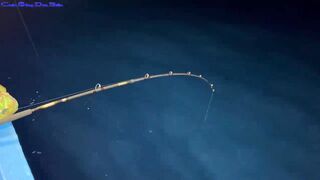 Жадная рыба в Нячанге клюёт одна за другой морская рыбалка прямо с берега