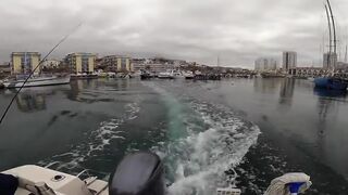 Севастополь рыбалка Kokos 2019 - береговые забросы на Чёрном море ранним утром