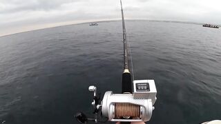 Севастополь рыбалка Kokos 2019 - береговые забросы на Чёрном море ранним утром