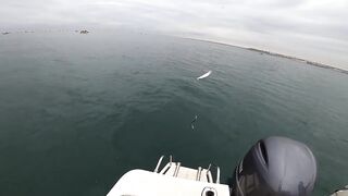 Севастополь рыбалка Kokos 2019 - береговые забросы на Чёрном море ранним утром