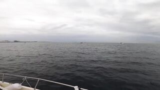 Севастополь рыбалка Kokos 2019 - береговые забросы на Чёрном море ранним утром