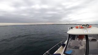 Севастополь рыбалка Kokos 2019 - береговые забросы на Чёрном море ранним утром