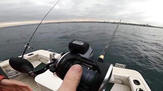 Севастополь рыбалка Kokos 2019 - береговые забросы на Чёрном море ранним утром