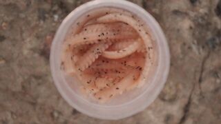 Rockfishing в Севастополе морская рыбалка на камнях и удары волны по пирсу