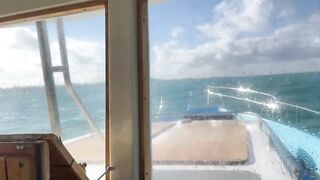 Рыбалка и дельфины в Севастополе Чёрное море и удивительные соседи по улову