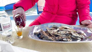 Рыбалка и дельфины в Севастополе Чёрное море и удивительные соседи по улову