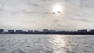 Рыбалка и дельфины в Севастополе Чёрное море и удивительные соседи по улову