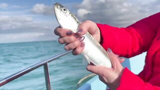 Рыбалка и дельфины в Севастополе Чёрное море и удивительные соседи по улову