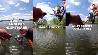 Хуже не придумаешь какая рыба так дерётся на ультралайте догадайтесь сами