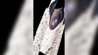 Rockfishing и beachfishing день когда не сидишь на месте и облавливаешь берег