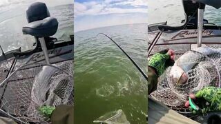 Эта мандариновая рыбка оказалась огромной трофей для лёгкой снасти