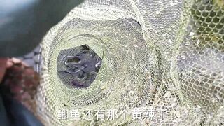 Лучшее место для бесплатной рыбалки в Пекине дикий карась и другая мелочь клюют без остановки