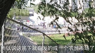 Лучшее место для бесплатной рыбалки в Пекине дикий карась и другая мелочь клюют без остановки