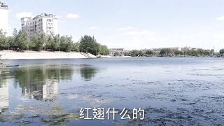 Лучшее место для бесплатной рыбалки в Пекине дикий карась и другая мелочь клюют без остановки