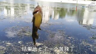 Лучшее место для бесплатной рыбалки в Пекине дикий карась и другая мелочь клюют без остановки