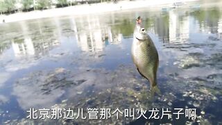 Лучшее место для бесплатной рыбалки в Пекине дикий карась и другая мелочь клюют без остановки