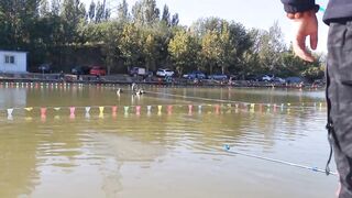 82 килограмма карпа в пекинском пруду трофейная рыбалка и проверка снастей на прочность