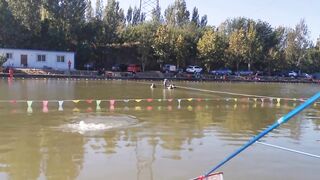 82 килограмма карпа в пекинском пруду трофейная рыбалка и проверка снастей на прочность