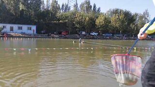 82 килограмма карпа в пекинском пруду трофейная рыбалка и проверка снастей на прочность