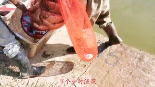 82 килограмма карпа в пекинском пруду трофейная рыбалка и проверка снастей на прочность