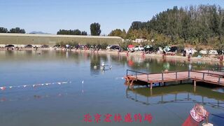 82 килограмма карпа в пекинском пруду трофейная рыбалка и проверка снастей на прочность