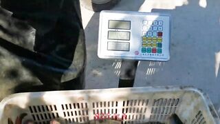 82 килограмма карпа в пекинском пруду трофейная рыбалка и проверка снастей на прочность