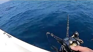 Пекинский блогер идёт на глубоководную рыбалку и сразу ловит дорогого групера